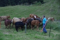 24h Hike Mammut_Ochsner 'Lauberhorn Abfahrt  mit Bruno Kernen' 19_08_2012 (25)